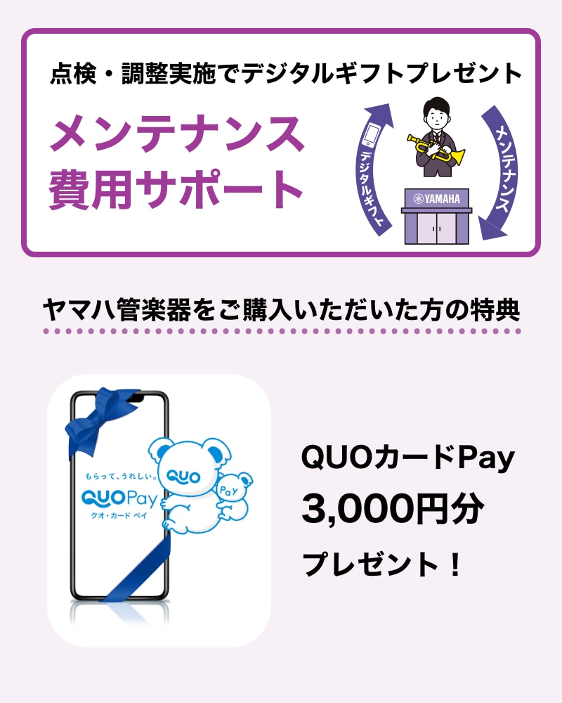 点検・調整で電子マネープレゼントメンテナンス費用サポート